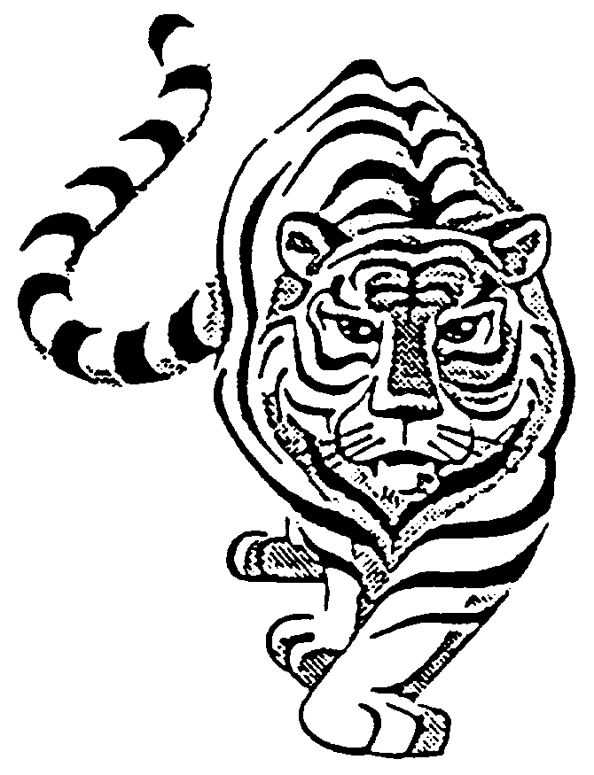 tiger clip art black and white - photo #21